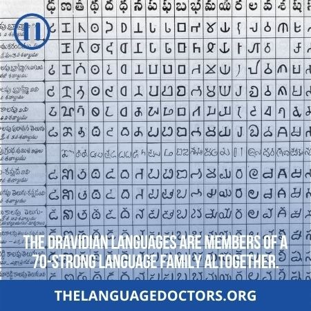 The Dravidian languages.