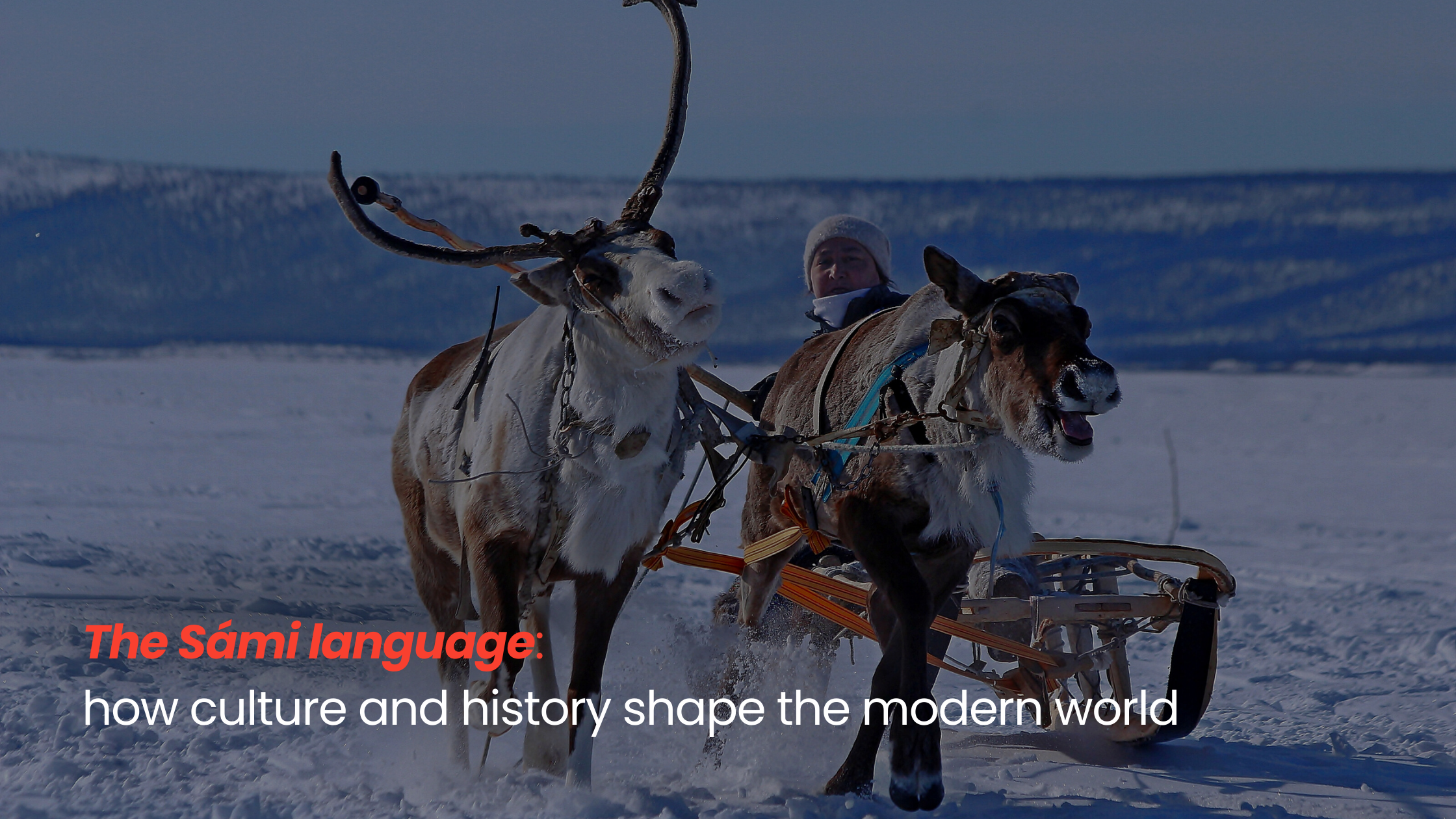 The Sámi Language: How Culture and History Shape the Modern World