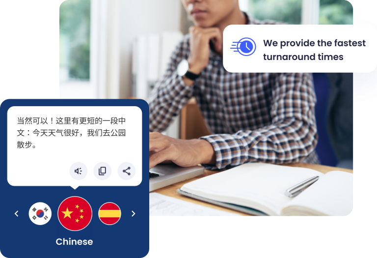 Comprehensive Translation Services for the Insurance Sector